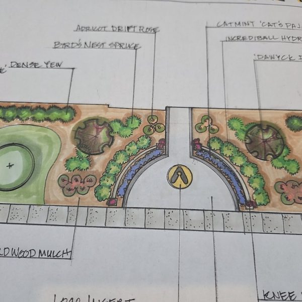 A hand-drawn landscape design plan with labeled plants, pathways, and mulched garden beds.