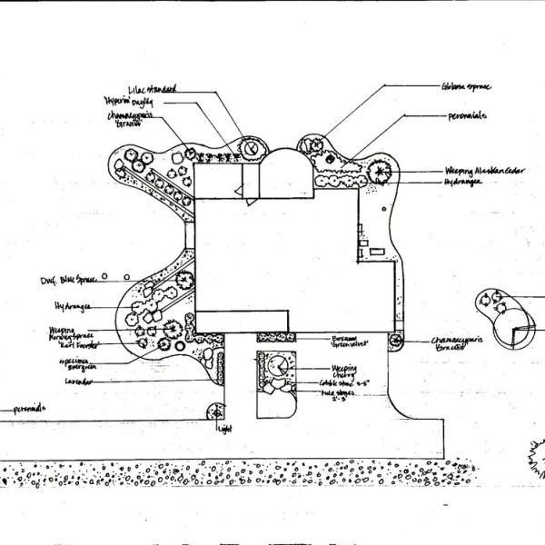 Landscape design plan showing house surrounded by labeled plants, trees, walkways, and garden areas.