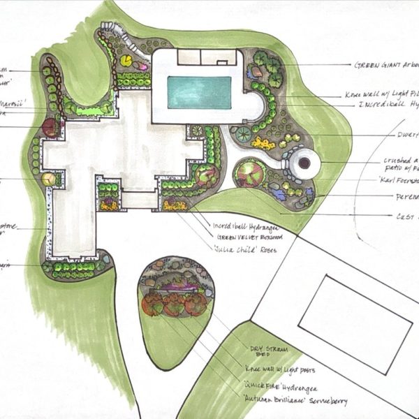 Hand-drawn landscape plan with house, pool, driveway, and labeled garden beds with various plants and trees.