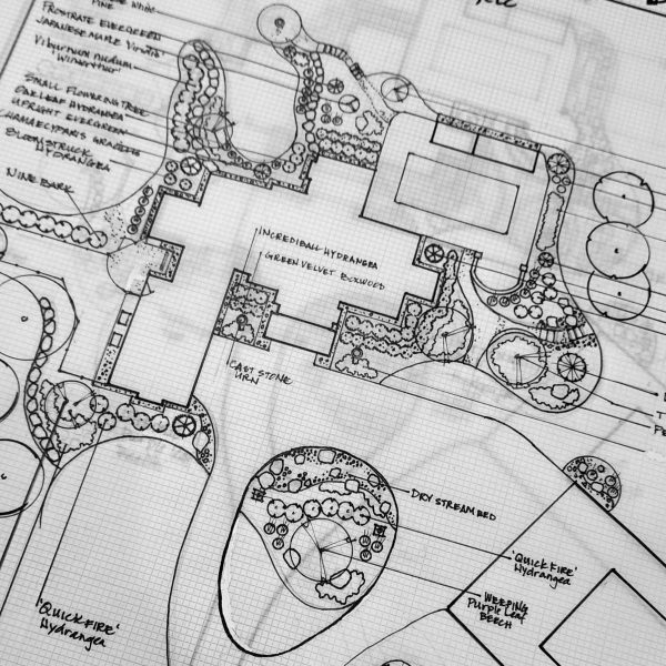 Black and white landscape design plan with labeled plants, pathways, and garden features on graph paper.