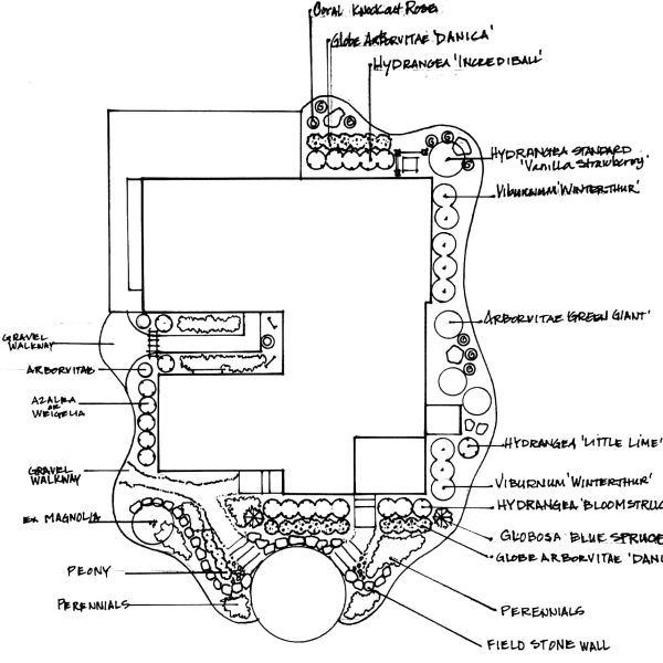Hand-drawn landscape plan of a yard with labeled plants and garden features around a house.